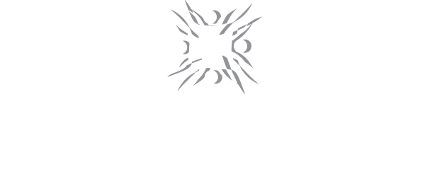 automation personnel services logo